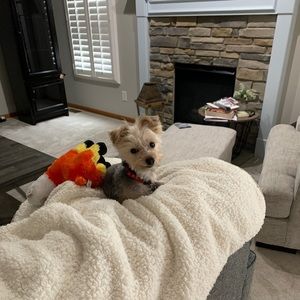 Meet your Posher, Melissa